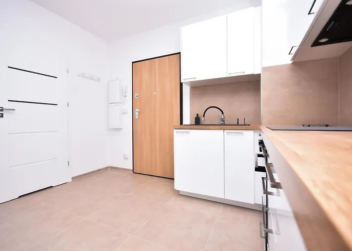 Rent40 Aura Old Town 公寓 *