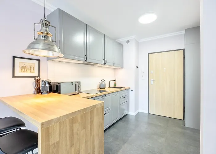 公寓 Rent40 Aura Old Town 格但斯克